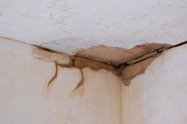 Best Basement water damage restoration  in Glasco, NY
