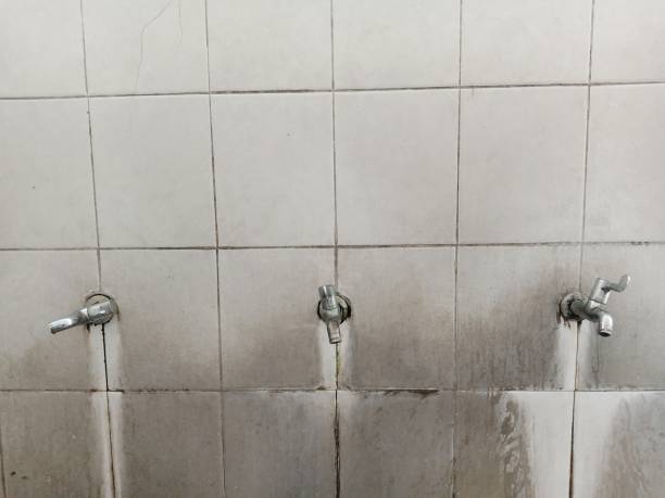 Best Water damage restoration mold remediation  in Glasco, NY