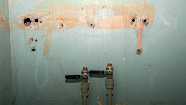 Best Professional water damage repair  in Glasco, NY