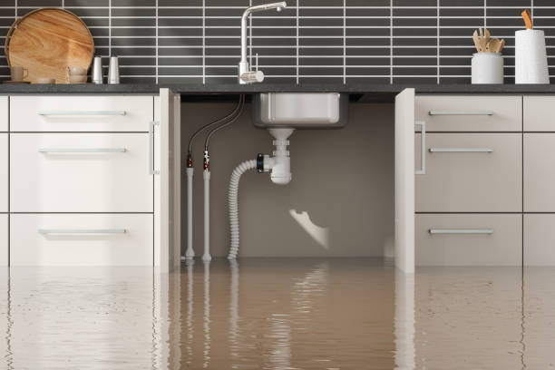 Best Fire Damage Restoration  in Glasco, NY