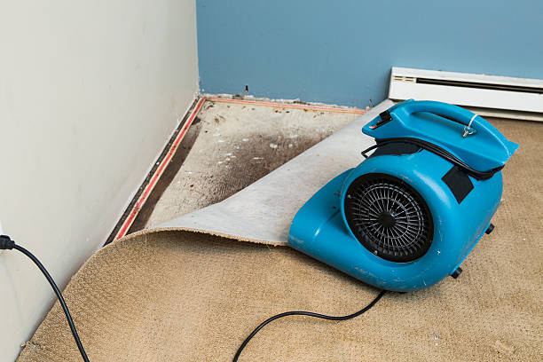 Best Water damage restoration near me  in Glasco, NY